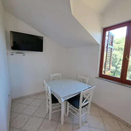 Sanja-centar Apartment Sveti Filip i Jakov